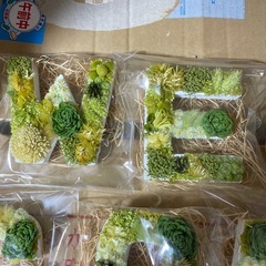 プリザーブド　welcomeの画像