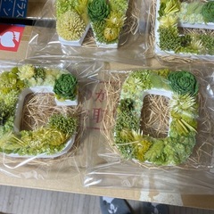 プリザーブド　welcomeの画像