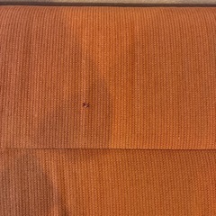 オレンジオットまん
の画像