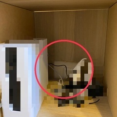 IKEA カラックス　脚付　の画像