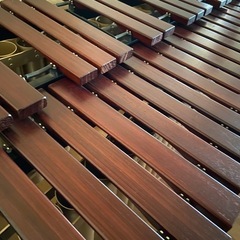 斉藤マリンバの画像