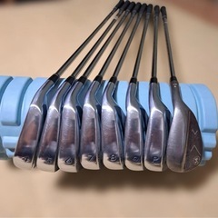 プロギアアイアンの画像