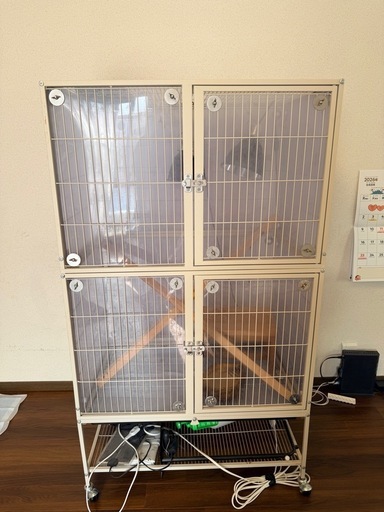 爬虫類ゲージ、ライトエギゾテラまとめ