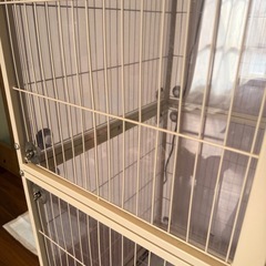 爬虫類ゲージ、ライトエギゾテラまとめの画像