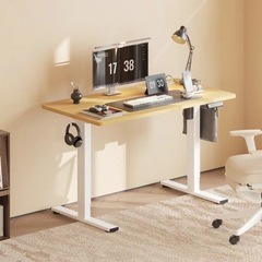 【新品】FlexiSpot 電動昇降デスク EF1 Proの画像