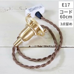 AXCIS アクシス ペンダント 灯具 E17用 の画像