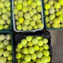 テニスボール　5カゴの画像