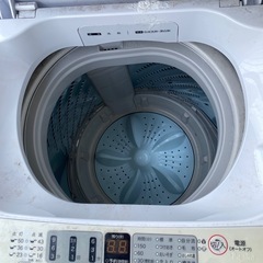 【外置き】Hisence 洗濯機　の画像