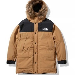 【極美品】ノースフェイス　ND91935 マウンテンダウンコート L  GORE-TEX  NORTH FACE  ゴアテックスの画像
