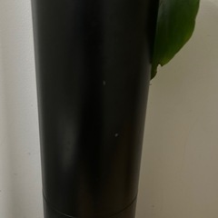 タワー型超音波式加湿器 duux　Beam(ビーム) の画像