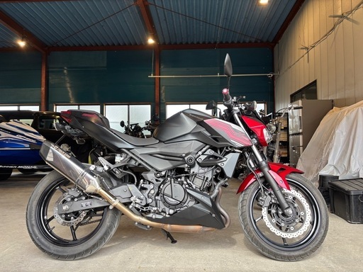 バイク KAWASAKI Z250 EX250P