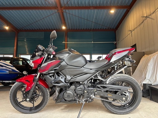 バイク KAWASAKI Z250 EX250P