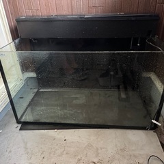 オールガラス水槽の画像