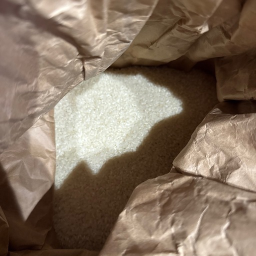 米 14.8kg 奥能登産 コシヒカリ