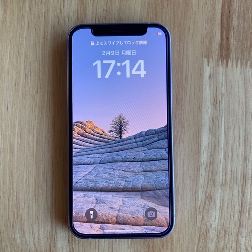 iPhone12 mini64GＢ（ソフトバンク専用)