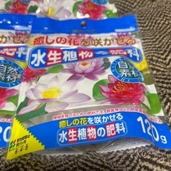 ●花ごころ 水生植物　
元気なお花にの画像