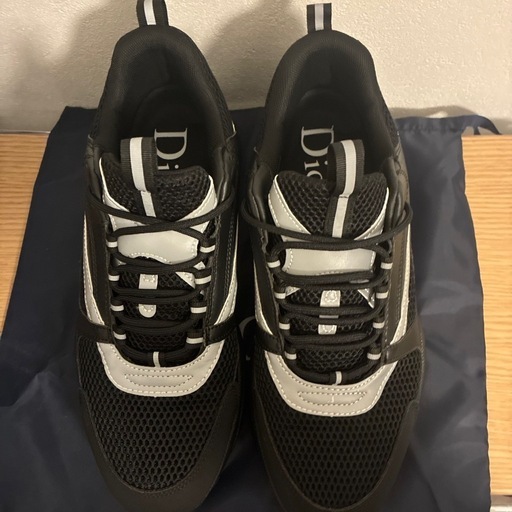 Dior b22 スニーカー size46