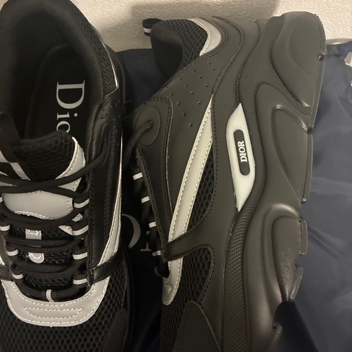 Dior b22 スニーカー size46