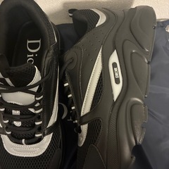 Dior b22 スニーカー size46の画像
