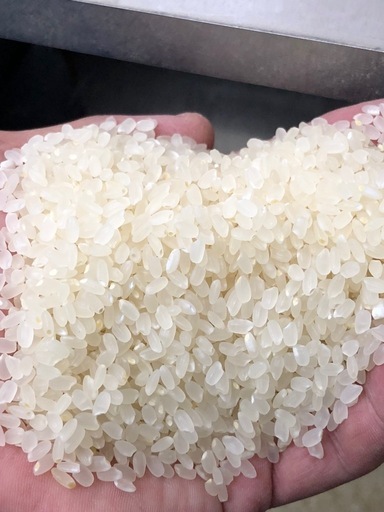農家直送の美味しいお米 令和7年度産 ヒノヒカリ 10キロ