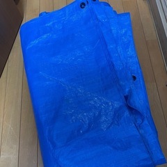 ブルーシート　240✖️540センチくらいの画像