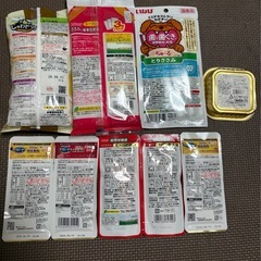 ドッグフード　ウェット　犬　ちゅーる　の画像