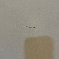 175L 冷蔵庫の画像