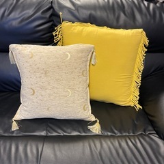 クッション2点セットの画像