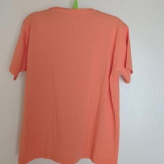 ノースフェイス Tシャツの画像