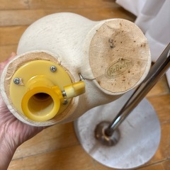 子供用トルソー
の画像