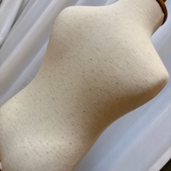 子供用トルソー
の画像