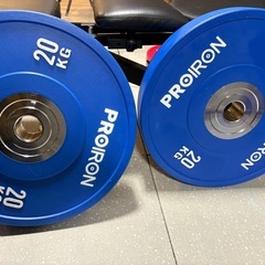 PROIRON 20kg ダンベルプレート 2個の画像