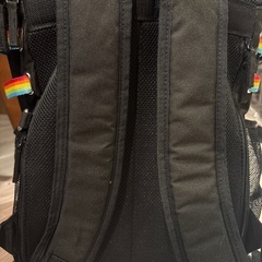 虹色リュック
の画像
