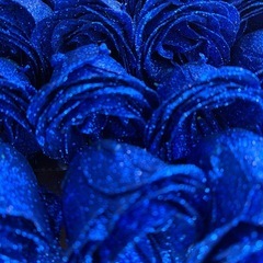 グリッターローズ　　ブーケの画像