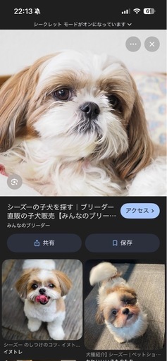 ペットシッター　ウェディング　