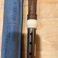 かるた、コマ、スーパーボール、リコーダーその他色々
の画像