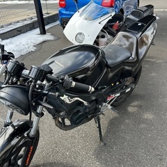 NS1   実働　黒ネイキッドの画像