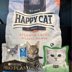 【25点まとめ売り】猫用プレミアムフード・試供品・消臭剤セット／手渡し希望の画像