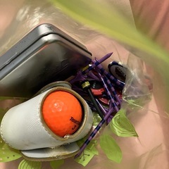 ゴルフボール９０個くらい！の画像