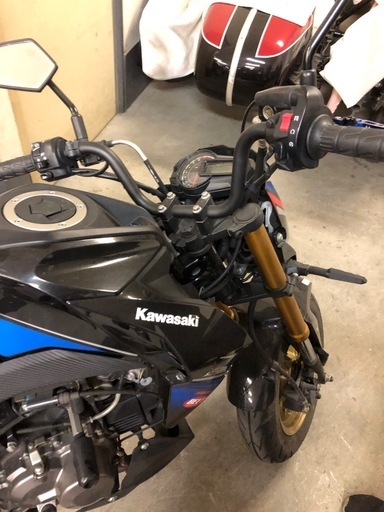カワサキ　　Z125プロ