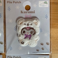 【新品・未使用】サンリオ パイルワッペンの画像