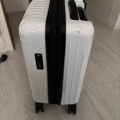 colemanのキャリーケースの画像