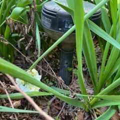 屋外用ソーラーガーデンライト（高さ 約148cm）電源不要・屋外用の画像