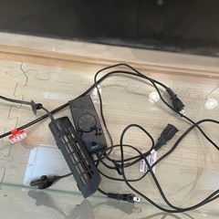 2/10・2/11限定価格６０センチ水槽（フレームレス）の画像