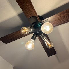 
Ampouleシーリングファンライトリバーシブル【電球なし】の画像