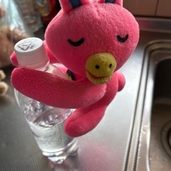 ノバうさぎ
の画像