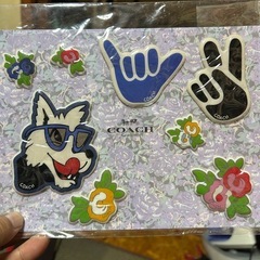 COACH（コーチ）3Dステッカーの画像