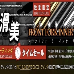 ゼファーχインナーチューブ２本の画像