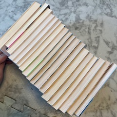 水野良 ロードス島戦記・ロードス島伝説・関連作品 18巻セットの画像