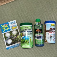 熱帯魚セットの画像